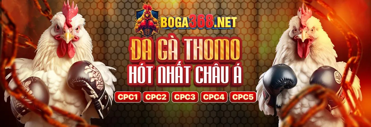 Bảo mật và Công bằng tại W388