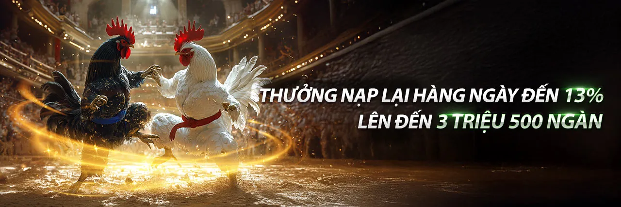 Đá Gà Trực Tuyến w388 nhà cái - Trải nghiệm cá cược đỉnh cao 2026